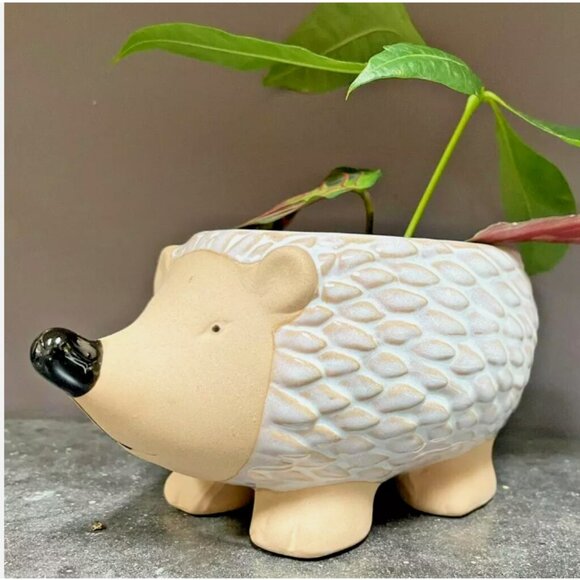 Hedgehog ceramic ~ Planter ~ Vase ~ used for candy or decoration NEW - Picture 3 of 9